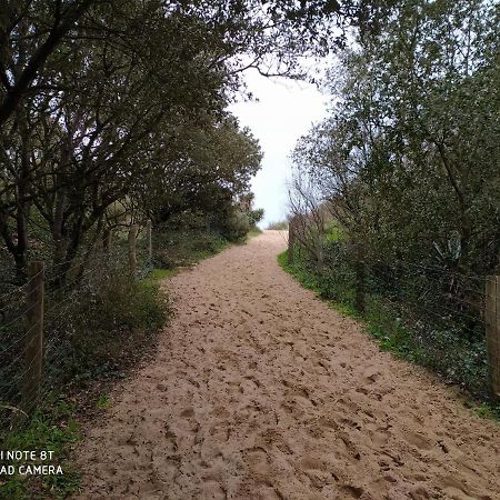 Logement 88 2-4 Personnes 500 M Plage Classe 2 Etoiles Dolus d'Oléron المظهر الخارجي الصورة