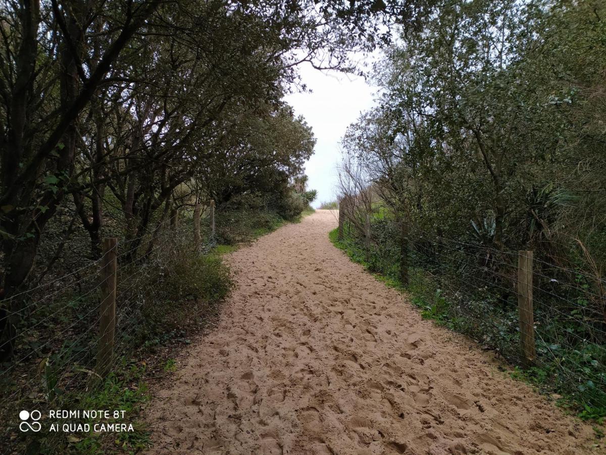 Logement 88 2-4 Personnes 500 M Plage Classe 2 Etoiles Dolus d'Oléron المظهر الخارجي الصورة